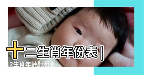 今年屬|線上十二生肖年齡計算器，輸入出生年月日即可查詢生肖及運勢